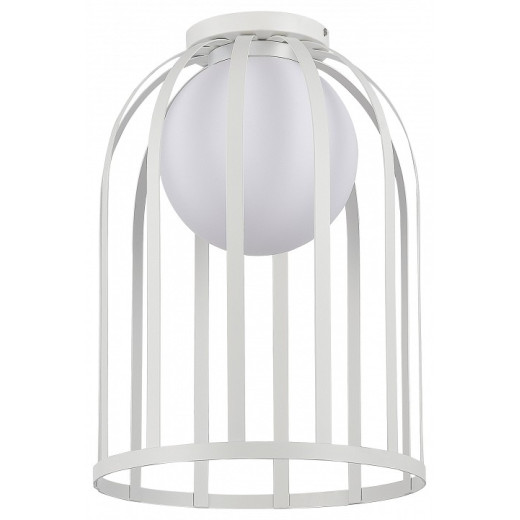 Накладной светильник ST-Luce Nordic SL6129.502.01