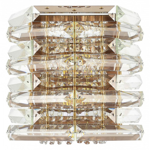 Накладной светильник ST-Luce STROZZI SL6137.201.02