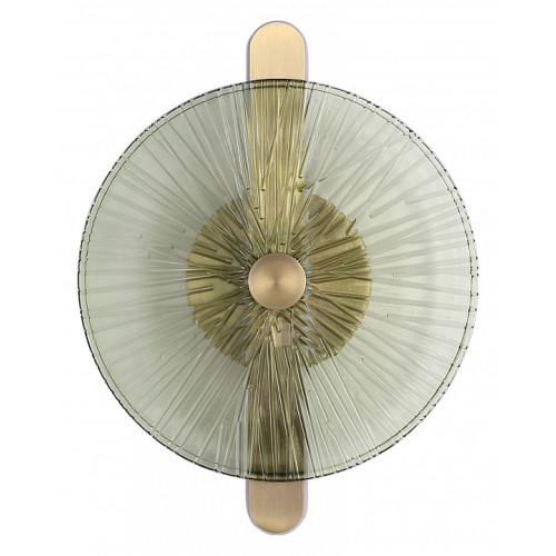 Накладной светильник ST-Luce WASI SL6141.321.01