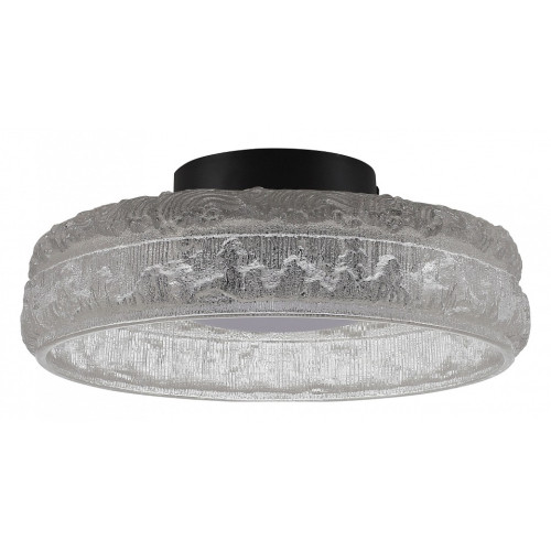 Накладной светильник ST-Luce ANTIKE SL6143.402.01