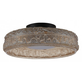 Накладной светильник ST-Luce ANTIKE SL6143.422.01