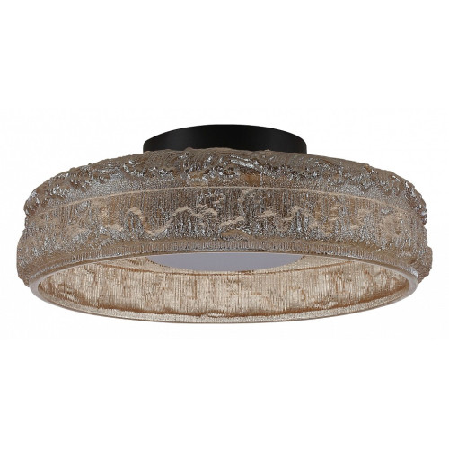 Накладной светильник ST-Luce ANTIKE SL6143.422.01