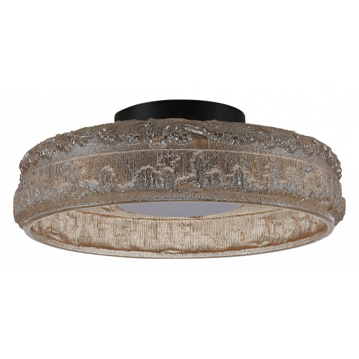 Накладной светильник ST-Luce ANTIKE SL6143.422.01