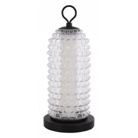 Настольная лампа декоративная ST-Luce SAGUARO SL6144.404.01