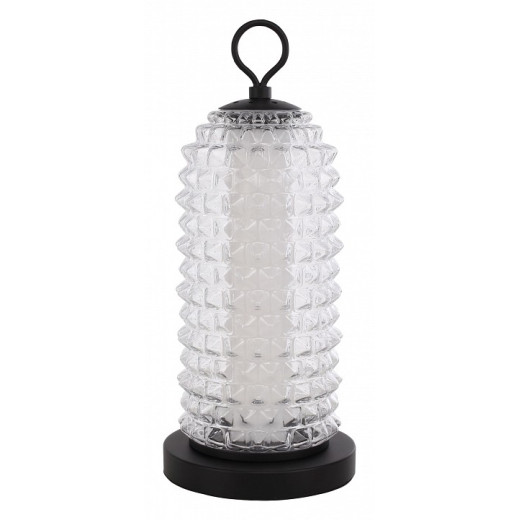 Настольная лампа декоративная ST-Luce SAGUARO SL6144.404.01