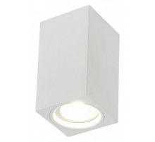 Накладной светильник SIMPLE STORY 2035 2035-1CLW