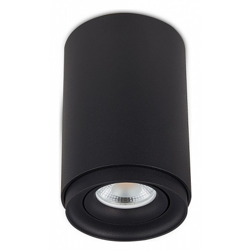 Накладной светильник SIMPLE STORY 2065 2065-1CLB