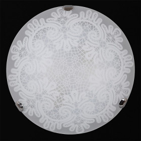 Накладной светильник Sneha  Вологда мат (300) НПБ 01-2х60-001