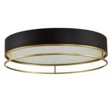 Накладной светильник Sonex Lofty 7723/100L