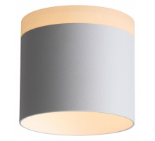 Накладной светильник ST-Luce Panaggio ST102.502.12