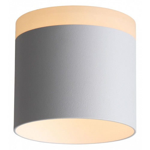 Накладной светильник ST-Luce Panaggio ST102.502.12