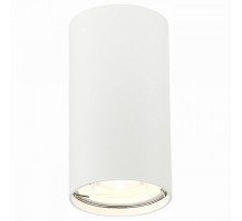 Накладной светильник ST-Luce Simplus ST110.507.01