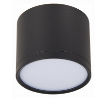 Накладной светильник ST-Luce Rene ST113.442.09