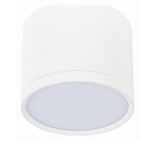 Накладной светильник ST-Luce Rene ST113.532.09