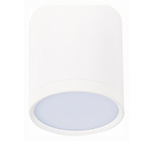 Накладной светильник ST-Luce Rene ST113.542.05