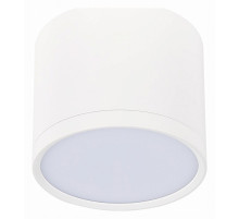 Накладной светильник ST-Luce Rene ST113.542.09