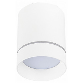 Накладной светильник ST-Luce ST115 ST115.532.12