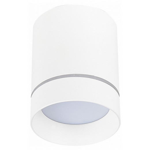 Накладной светильник ST-Luce ST115 ST115.542.07