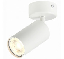 Спот ST-Luce Dario ST303.502.01