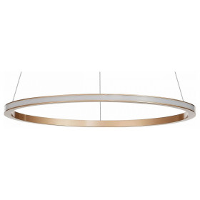 Подвесной светильник ST-Luce ST604 OUT ST604.243.22