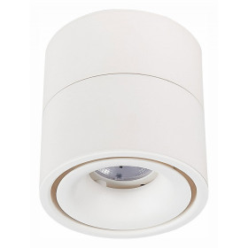 Светильник на штанге ST-Luce ST652 ST652.542.12