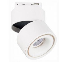 Светильник на штанге ST-Luce ST652 ST652.546.12