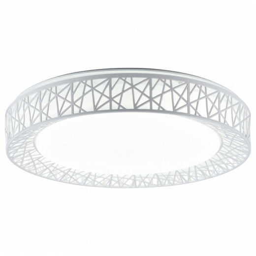 Накладной светильник TopLight Diana TL1204X-72WH