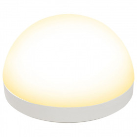 Светильник на штанге Uniel GX 53 со сферическим рассеивателем UL-00011787