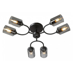 Потолочная люстра Vitaluce V2823 V2823-1/6PL