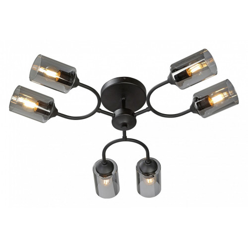 Потолочная люстра Vitaluce V2823 V2823-1/6PL