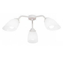 Потолочная люстра Vitaluce V31950 V31950/3PL