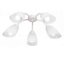 Потолочная люстра Vitaluce V31950 V31950/5PL