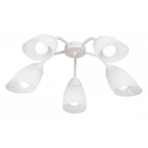 Потолочная люстра Vitaluce V31950 V31950/5PL