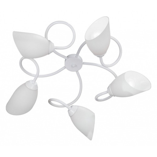 Потолочная люстра Vitaluce V3396 V3396/5PL