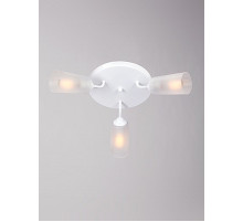 Потолочная люстра Vitaluce V3762 V3762-0/3PL