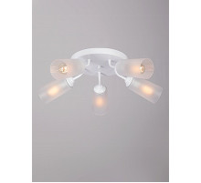 Потолочная люстра Vitaluce V3762 V3762-0/5PL