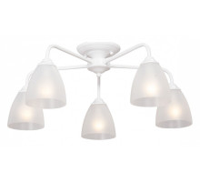 Потолочная люстра Vitaluce  V3946-0/5PL