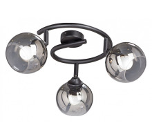 Спот Vitaluce 4314 V4314-1/3PL