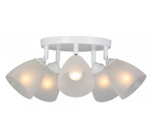 Потолочная люстра Vitaluce V4355 V4355-0/5PL