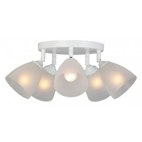 Потолочная люстра Vitaluce V4355 V4355-0/5PL