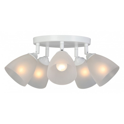 Потолочная люстра Vitaluce V4355 V4355-0/5PL