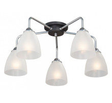 Потолочная люстра Vitaluce V4500 V4500-9/5PL