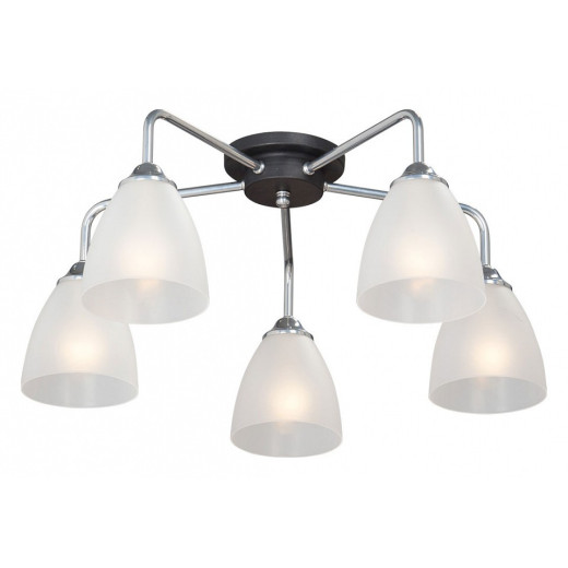 Потолочная люстра Vitaluce V4500 V4500-9/5PL