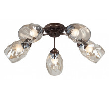 Потолочная люстра Vitaluce 4929 V4929-7/5PL