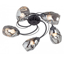 Потолочная люстра Vitaluce  V4937-1/5PL