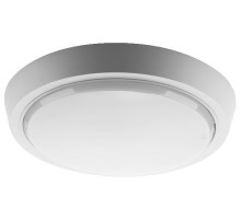 Накладной светильник Wolta  DBO01-10-4K-SOA