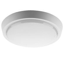 Накладной светильник Wolta  DBO01-20-6.5K