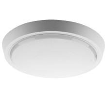 Накладной светильник Wolta  DBO01-25-6.5K