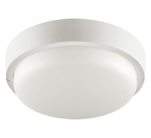 Накладной светильник Wolta  LCL04-12W-R41-6K-SBA