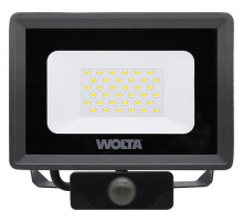 Настенно-потолочный прожектор Wolta WFL-30W WFL-30W/06S